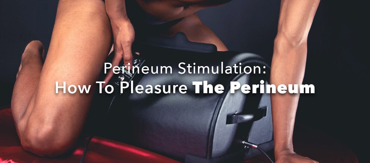 Perineum Stimulation: How To Pleasure The Perineum - The Cowgirl Blog