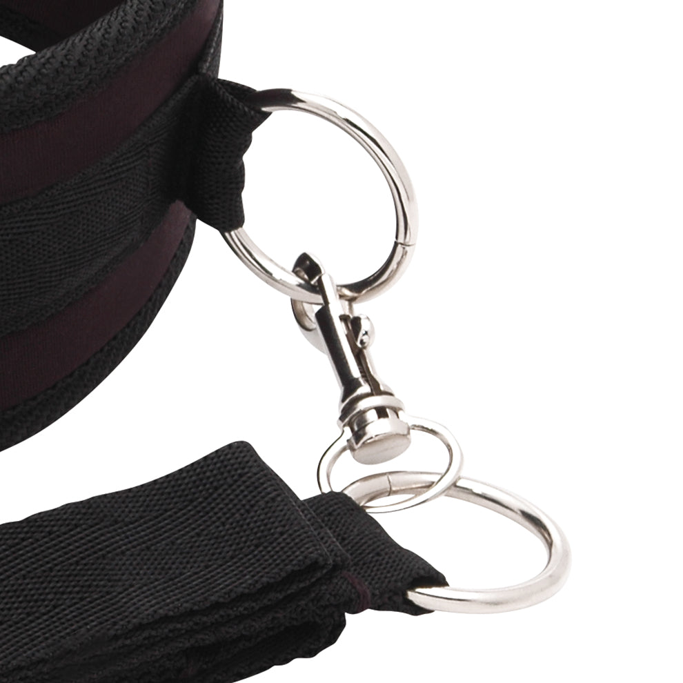 Close-up of a black collar leash with metal clip on a white background