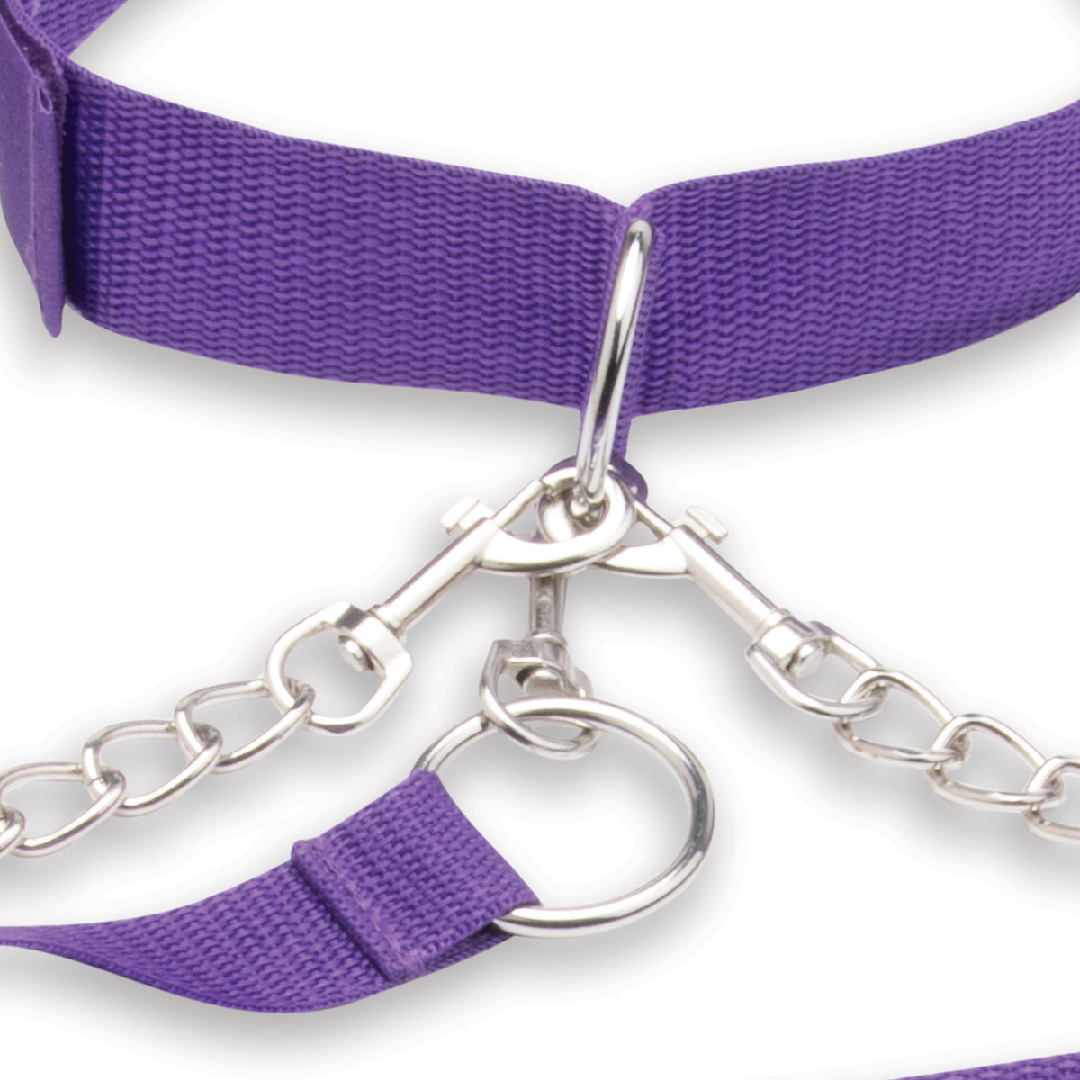 Purple bondage collar with silver chain on a white background