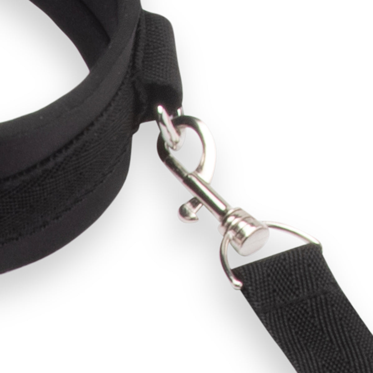 Close-up of a collar with a metal clip on a white background