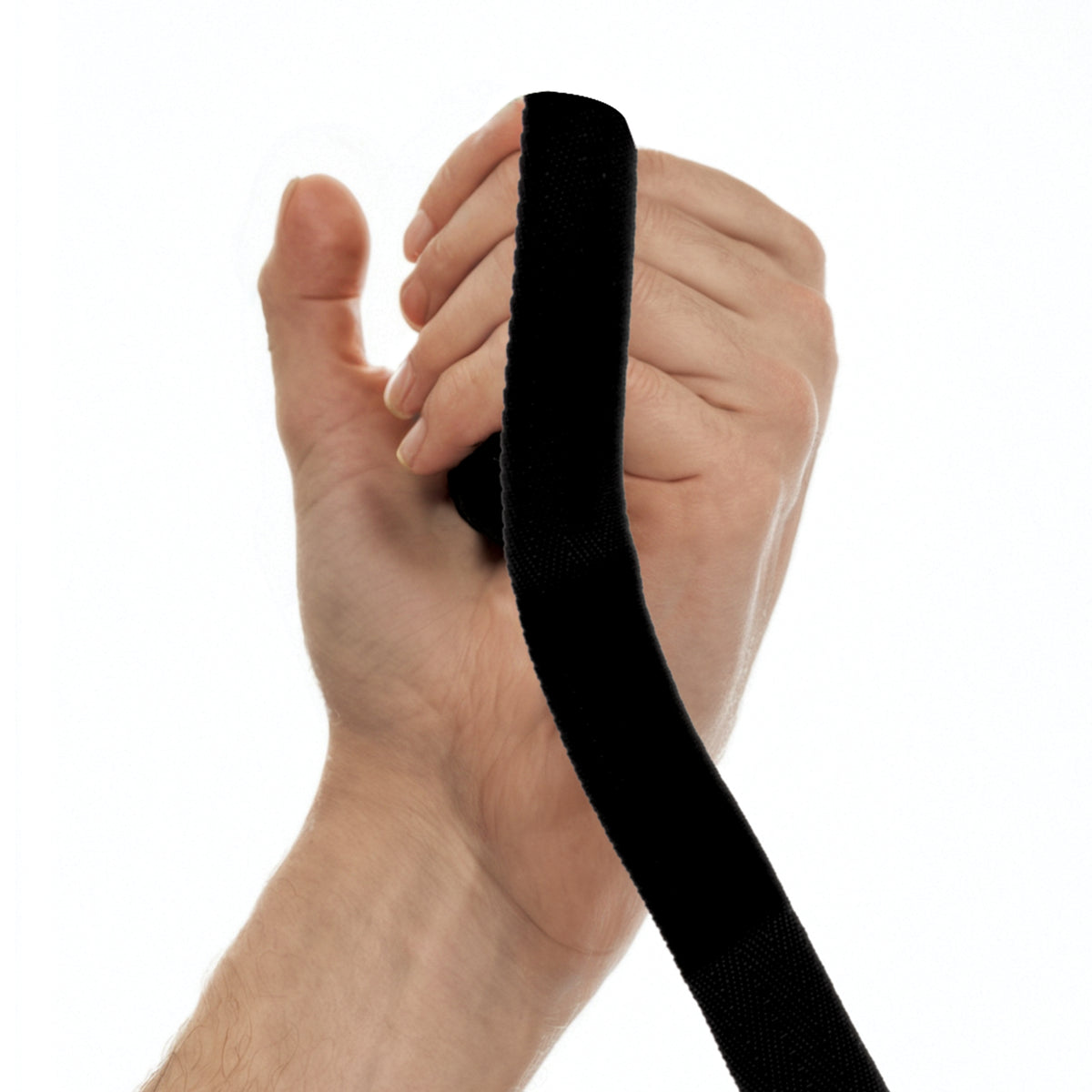 Black leash held by a hand on a white background