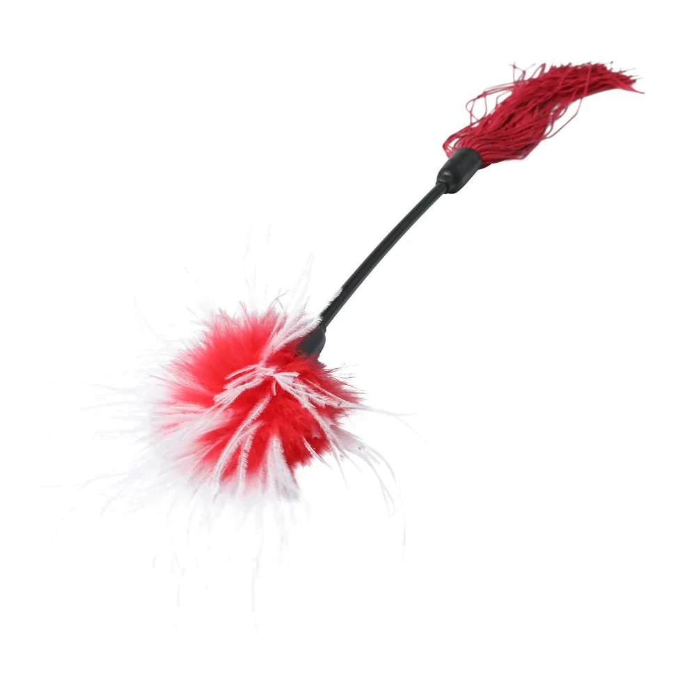 Sex & Mischief Whip and Tickler at a 45-degree angle against a clean white background.